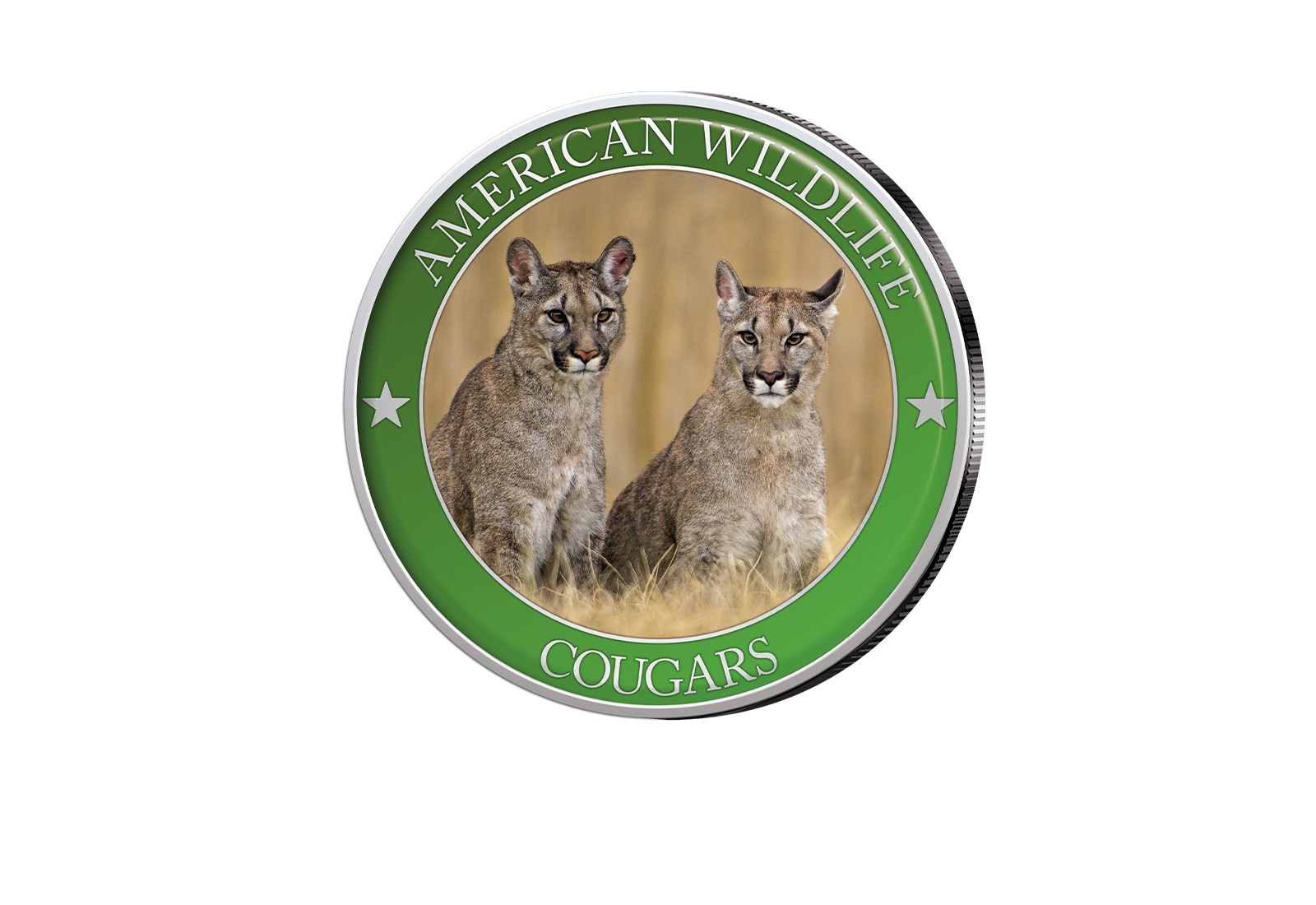 1/2 Dollar USA Cougar Serie American Wildlife mit Farbapplikation
