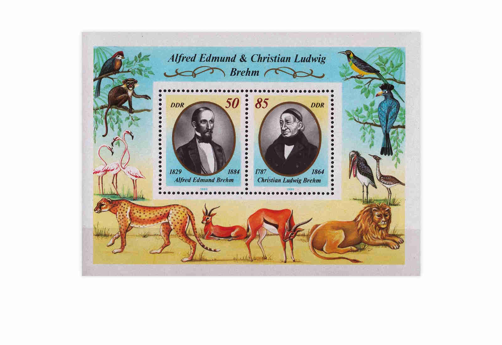 DDR Block 98 Brehms Tierwelt 1989 **