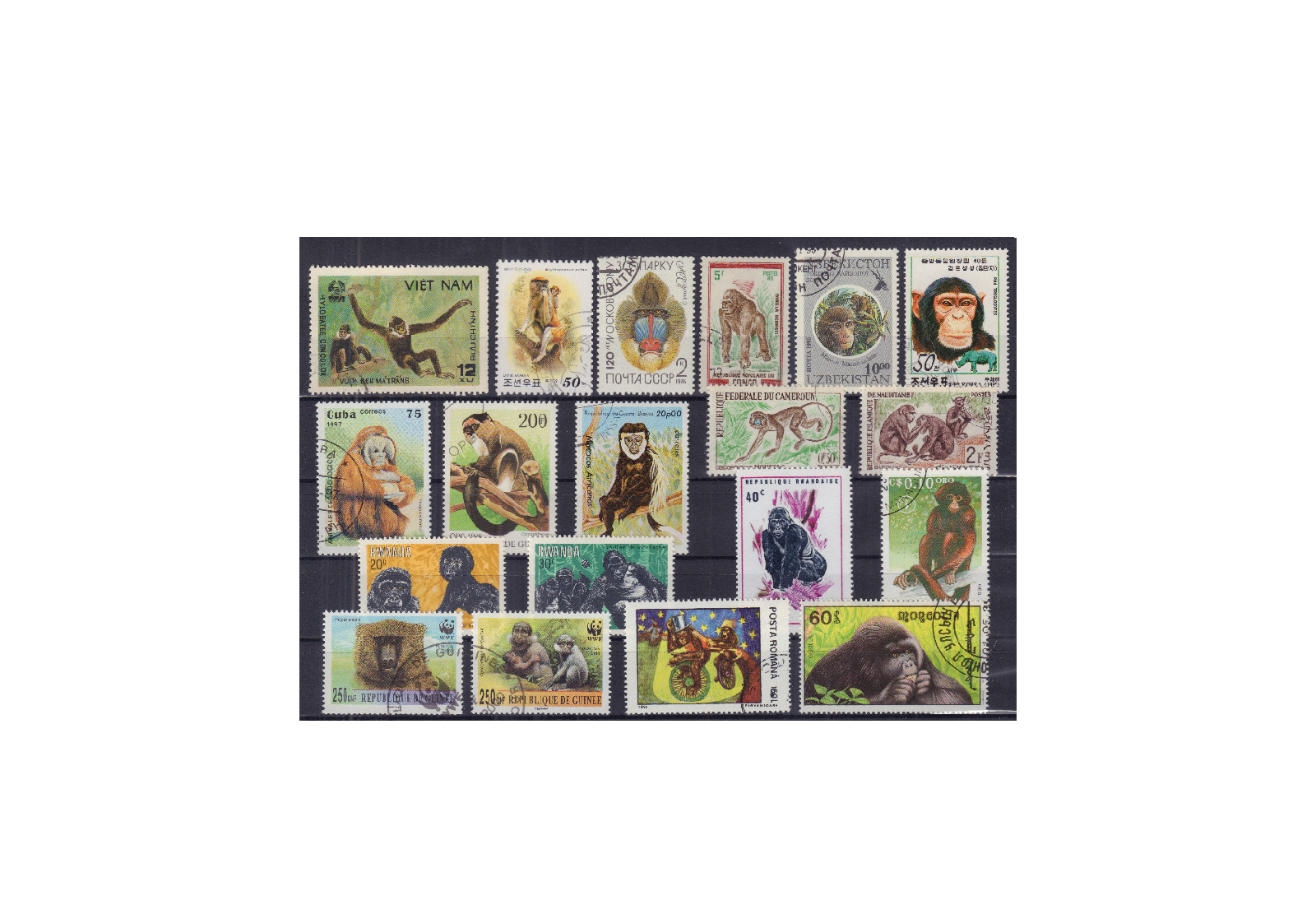 Briefmarken Alle Welt Affen 40 Marken auf Steckkarte