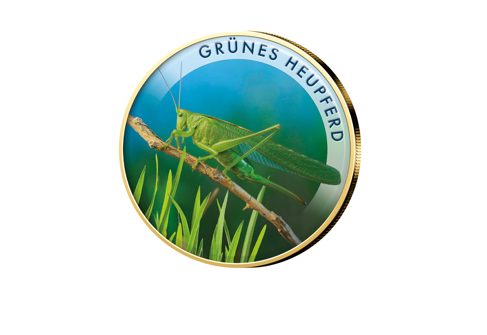 2 Euro Grünes Heupferd vergoldet mit Farbmotiv