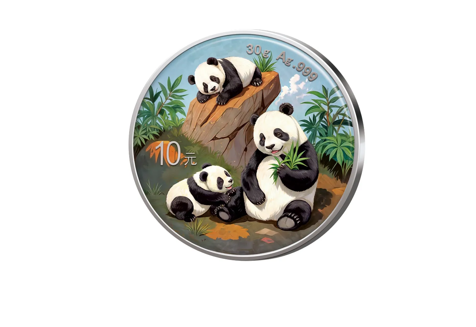 Panda 30 Gramm Silber 2025 China mit Farbapplikation