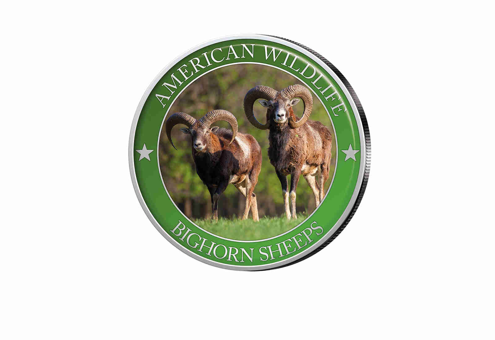 1/2 Dollar USA Bighorn Sheep Serie American Wildlife mit Farbapplikation