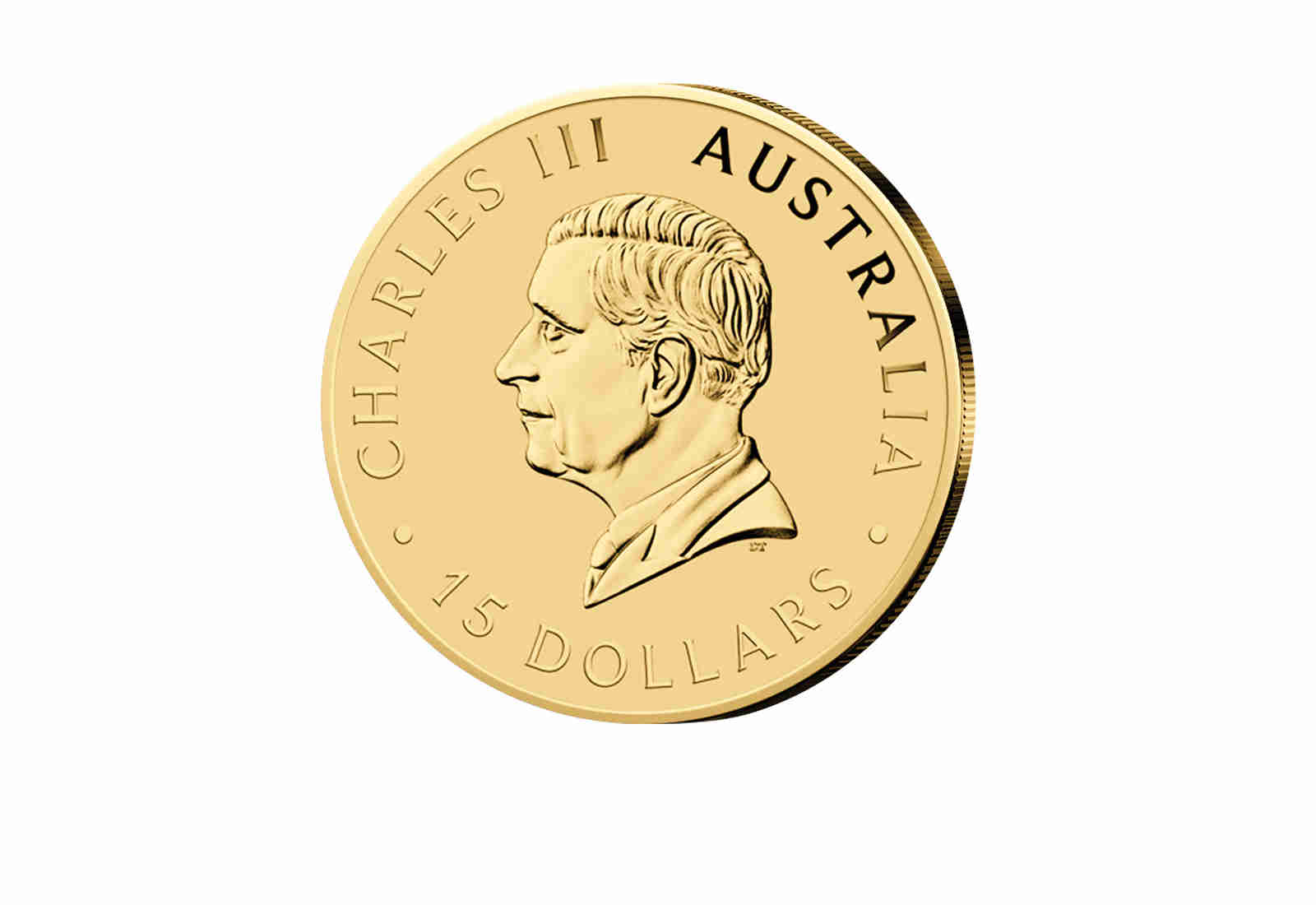 Australien Känguru 2024 1/10 oz Gold