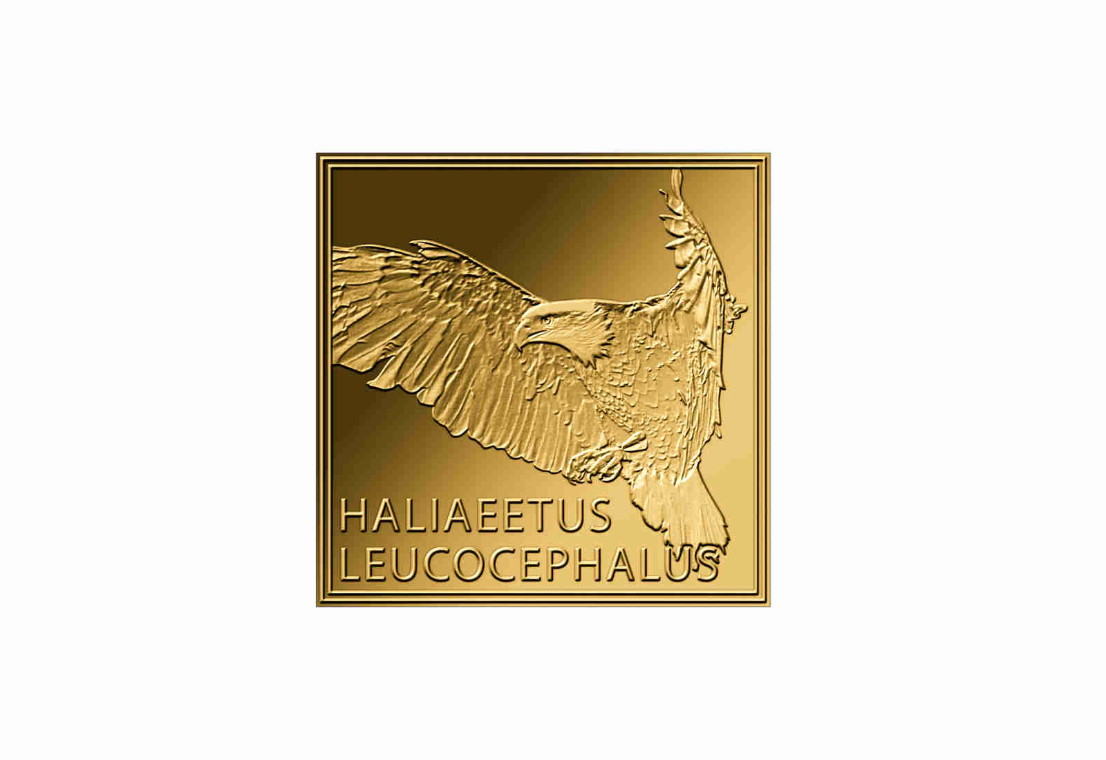 Goldmünze Motiv Weißkopfseeadler 999/1000 Gold Geschenk