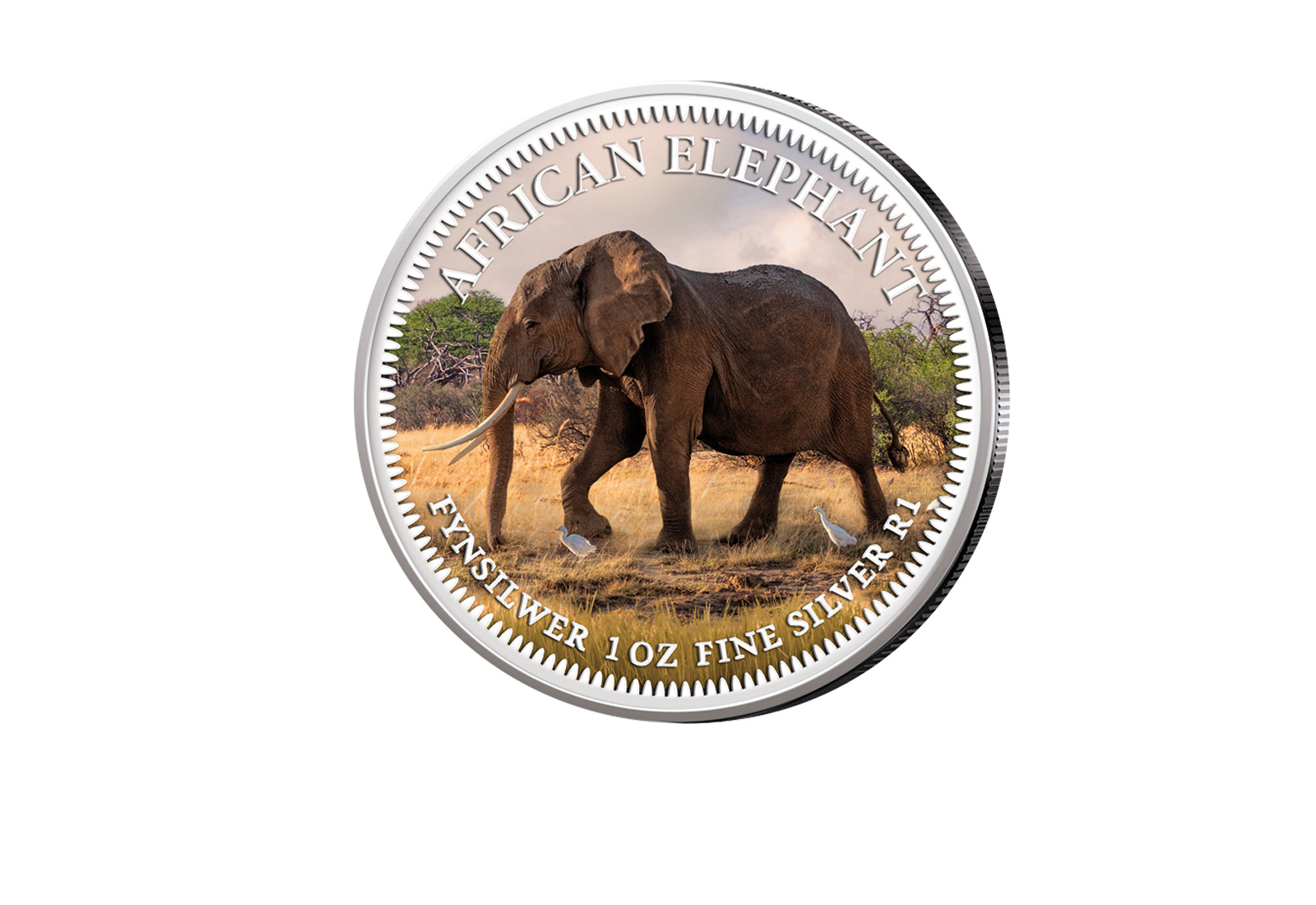 American Eagle 1 oz Silber USA mit Farbmotiv Big Five I Elefant