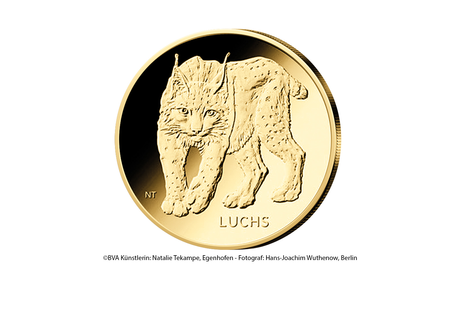 20 Euro 2025 Goldmünze Deutschland Luchs Prägestätte J (Hamburg)
