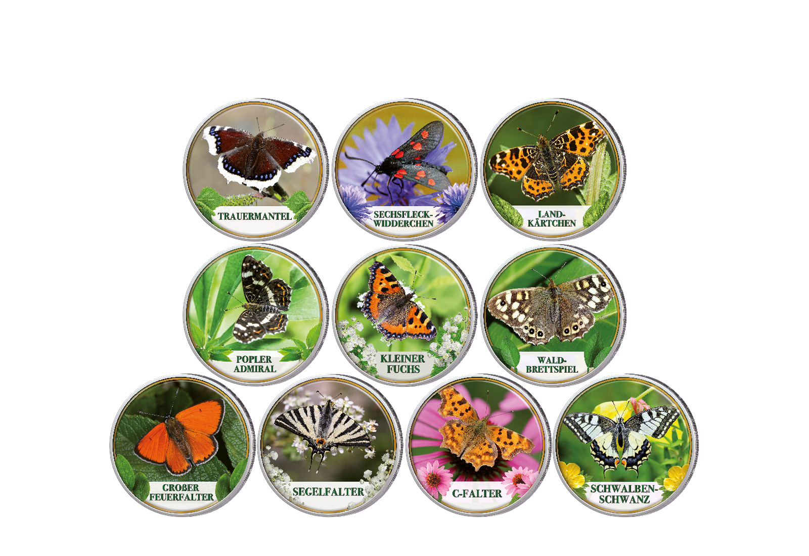 Schmetterlinge II 10er Kollektion mit Farbmotiv im Etui inkl. Zertifikat