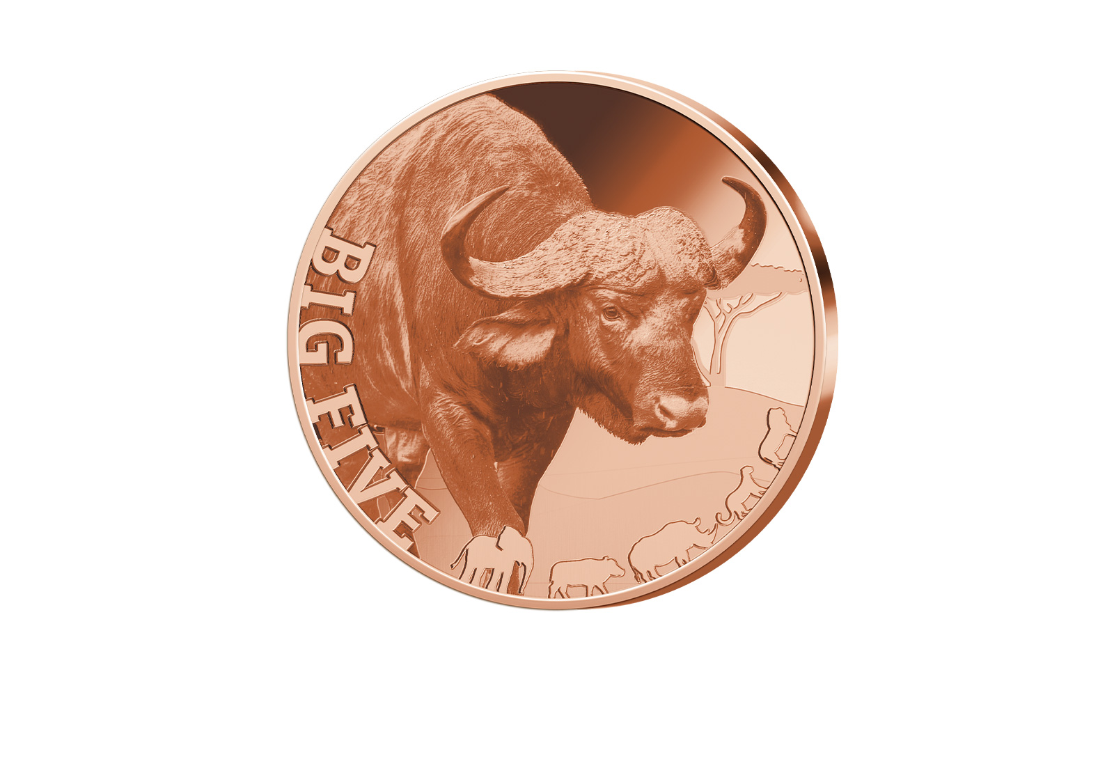 1 oz Kupferausgabe Cape Buffalo Big Five of Africa