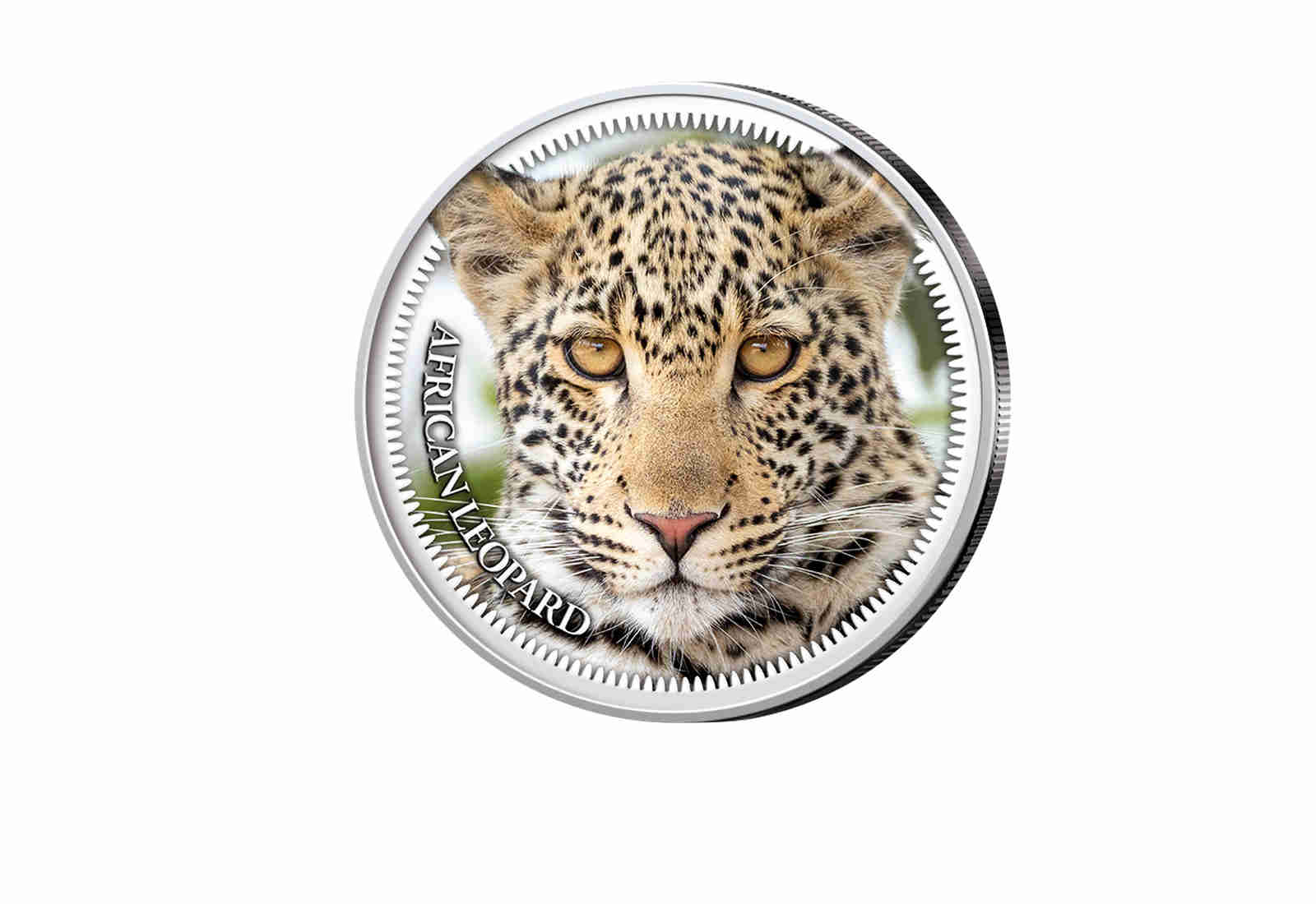 American Eagle 1 oz Silber USA mit Farbmotiv Big Five II Leopard