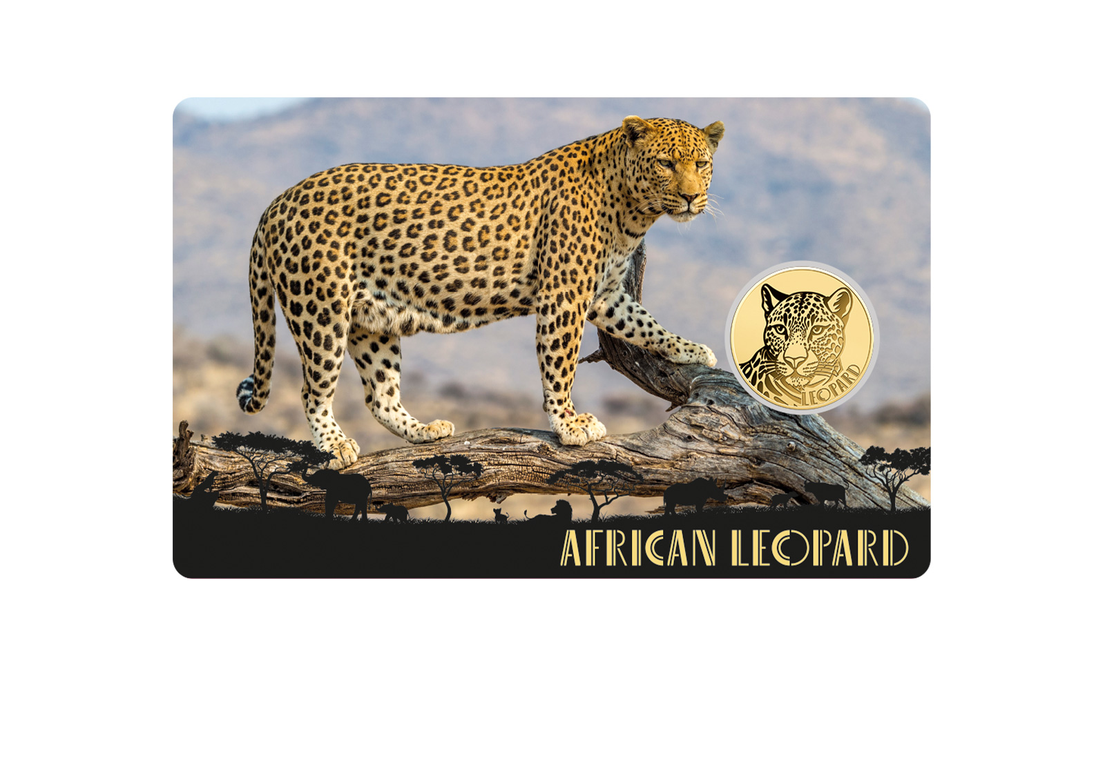 Goldmünze Motiv African Leopard Coincard Feinheit 999/1000 Gold Geschenk