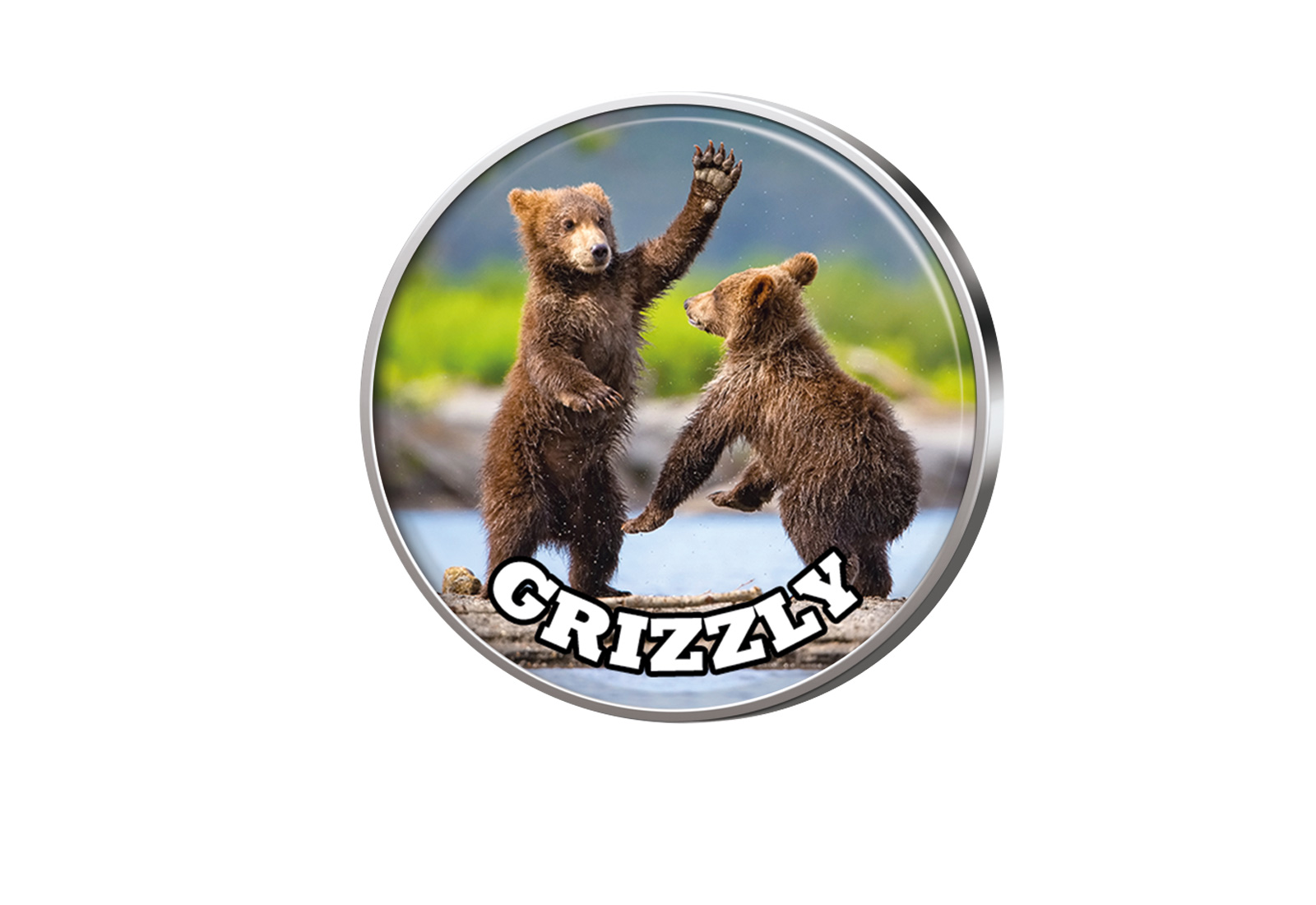 Grizzly Junge mit Farbmotiv