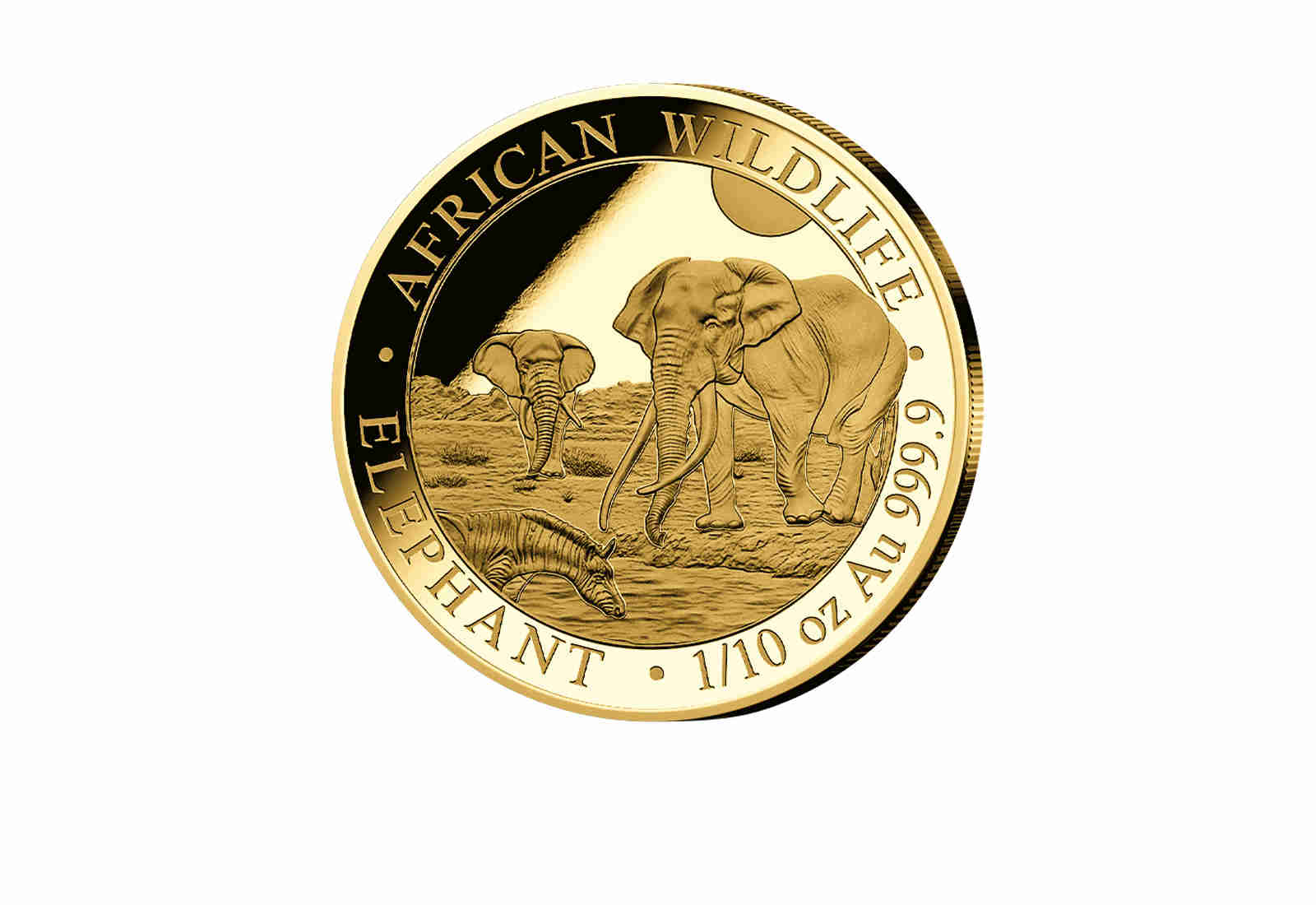 African Wildlife Serie 1/10 oz Gold 2026 Somalia Elefant