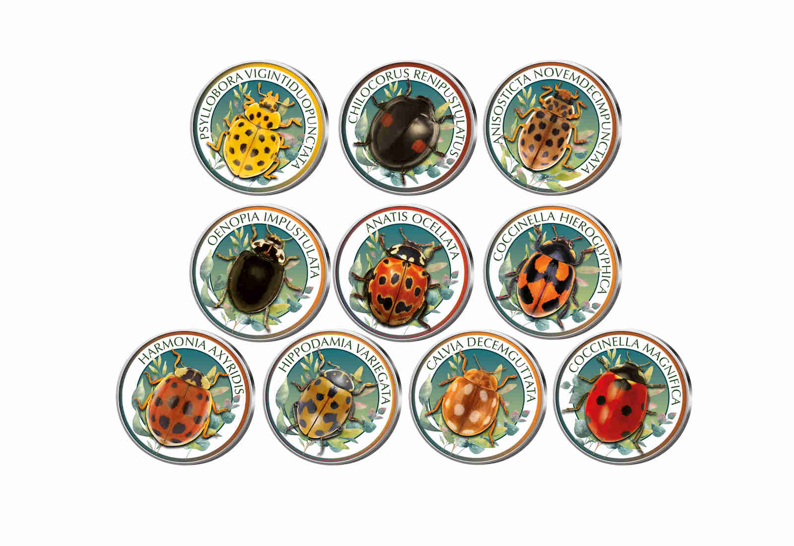 World of Ladybirds I 10er Kollektion mit Farbmotiv im Etui inkl. Zertifikat