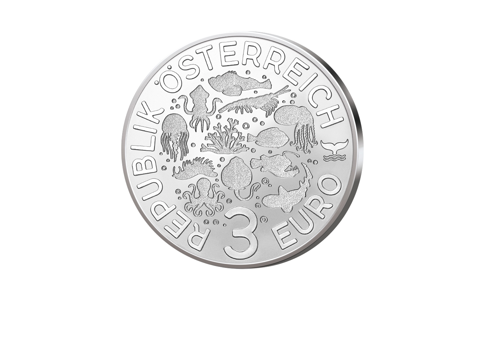 3 Euro 2024 Österreich Jamaika - Stechrochen