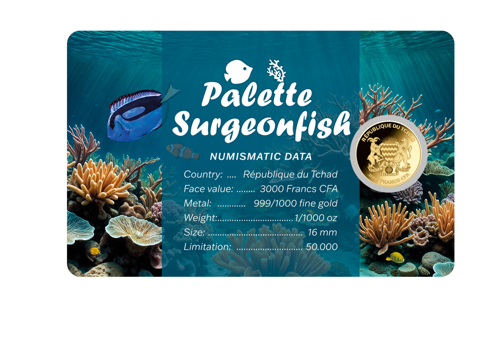 Goldmünze Motiv "Doktorfisch" Coincard 999/1000 Gold Geschenk