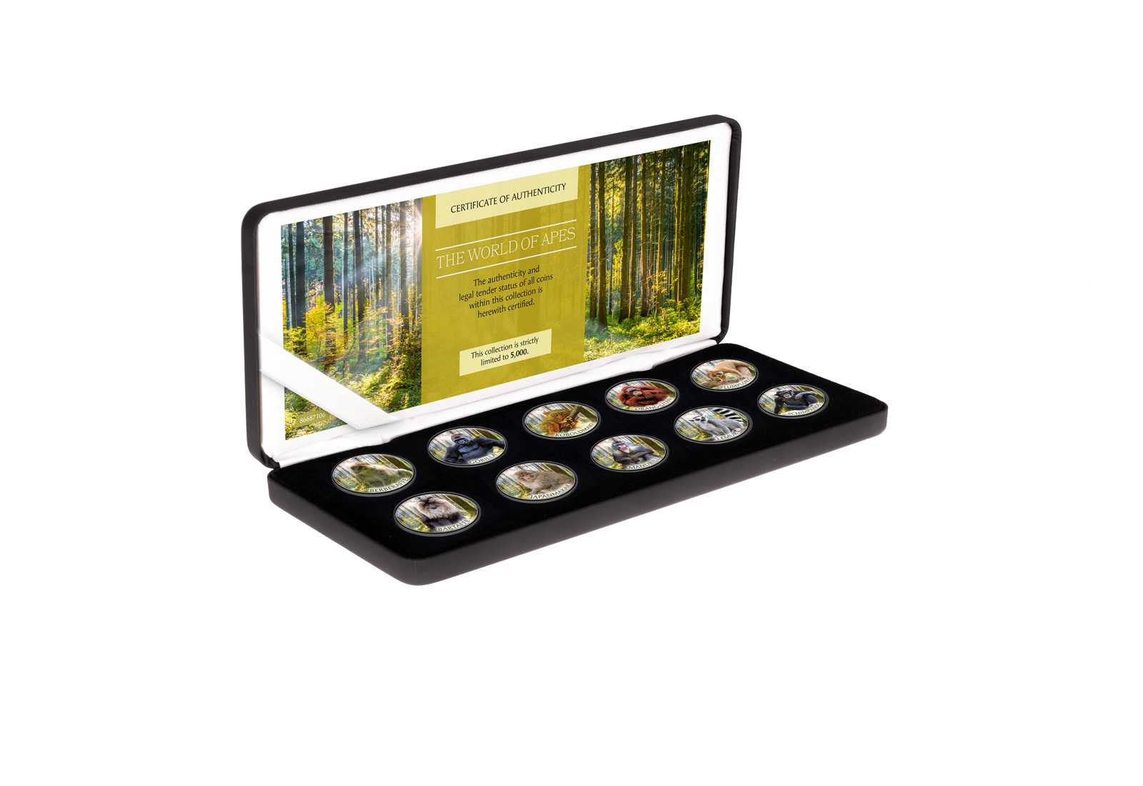 Die Welt der Affen 10er Kollektion mit Farbmotiv im Etui inkl. Zertifikat