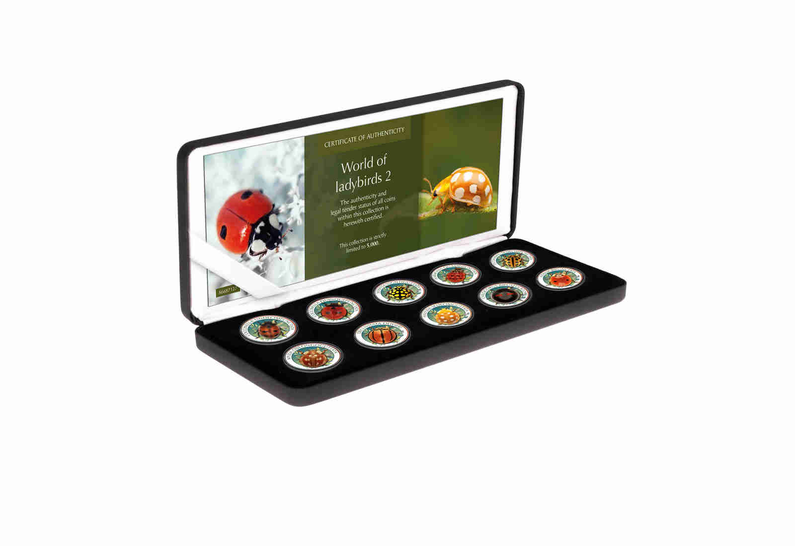 World of Ladybirds II 10er Kollektion mit Farbmotiv im Etui inkl. Zertifikat