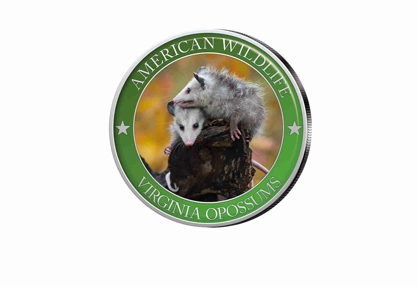 1/2 Dollar USA Virginia Opossum Serie American Wildlife mit Farbapplikation