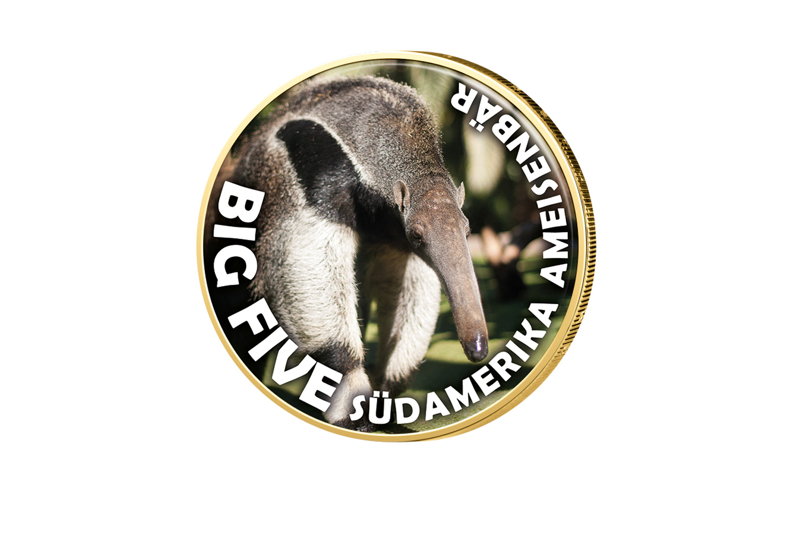 2 Euro vergoldet Big Five Südamerika Ameisenbär