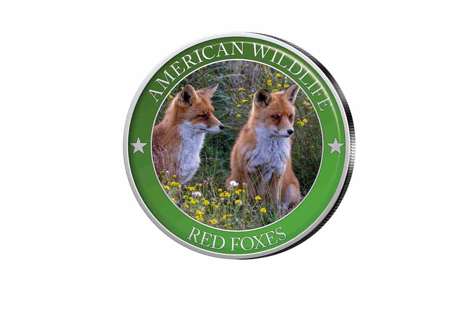 1/2 Dollar USA Red Fox Serie American Wildlife mit Farbapplikation