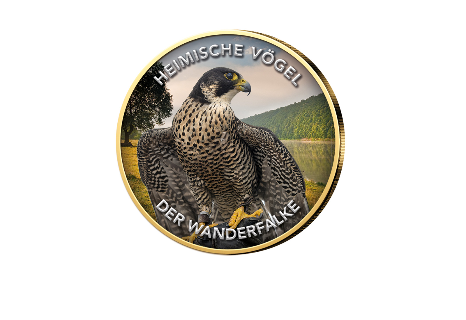 2 Euro vergoldet Wanderfalke mit Farbmotiv