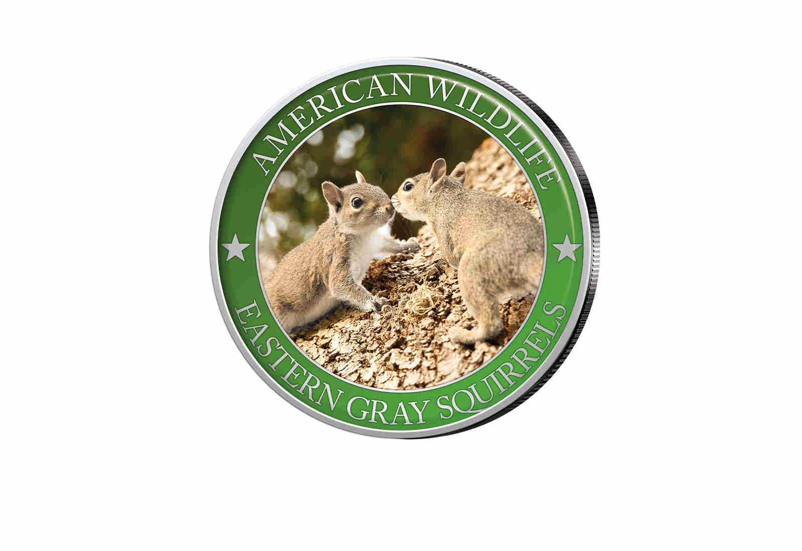 1/2 Dollar USA Eastern Grey Squirrel Serie American Wildlife mit Farbapplikation