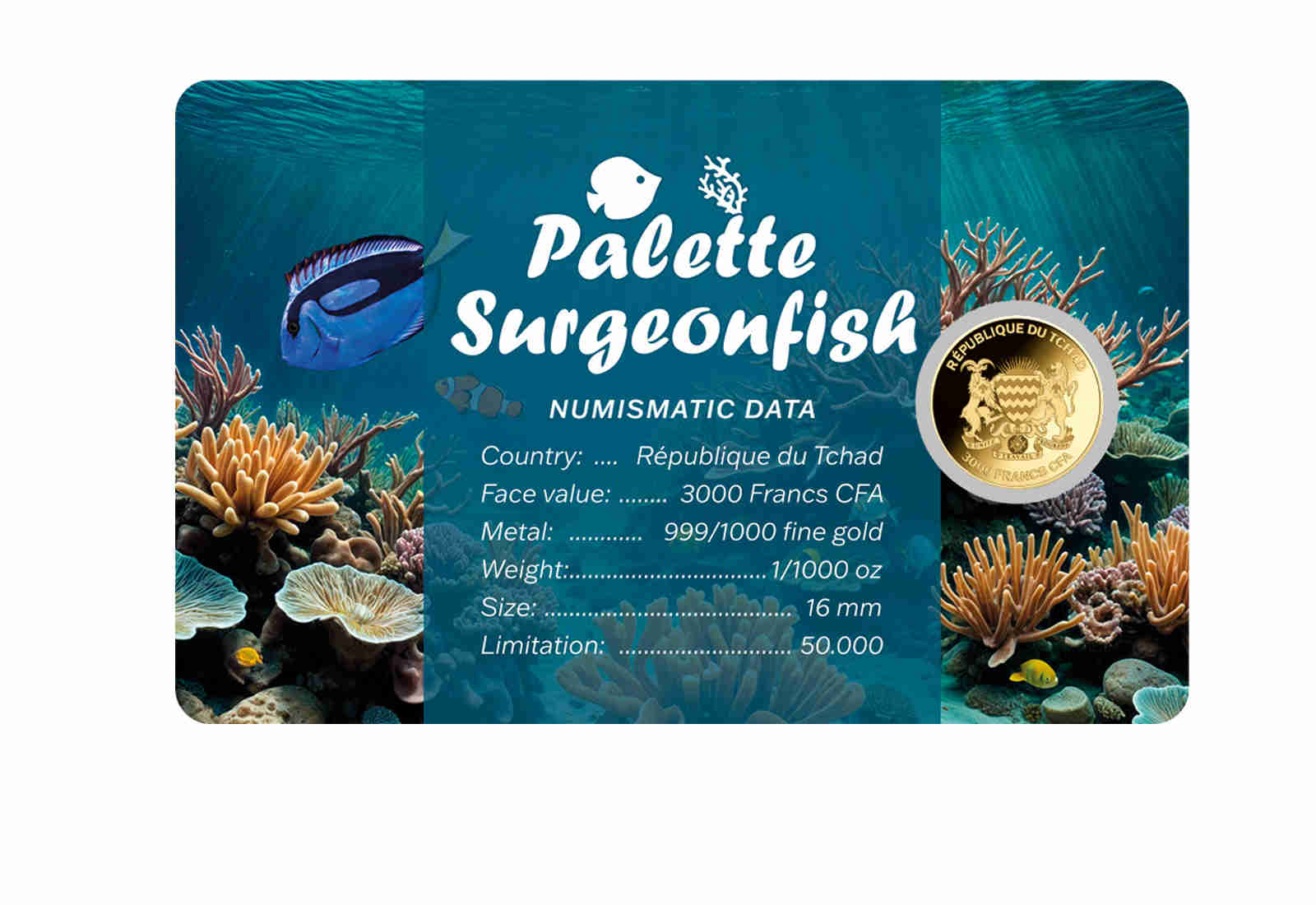 Goldmünze Motiv "Doktorfisch" Coincard 999/1000 Gold Geschenk