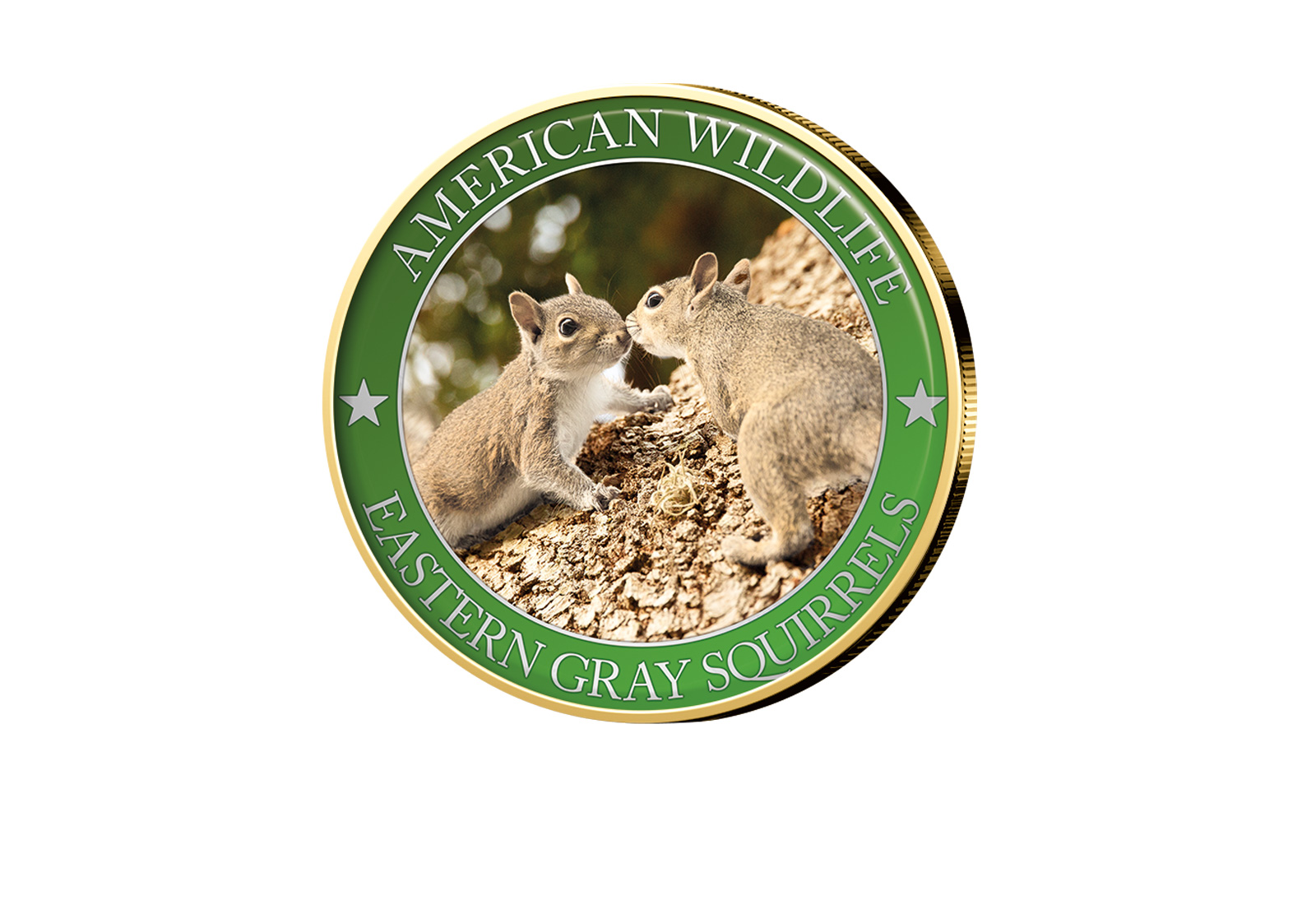 1/2 Dollar USA Eastern Grey Squirrel Serie American Wildlife mit Farbapplikation