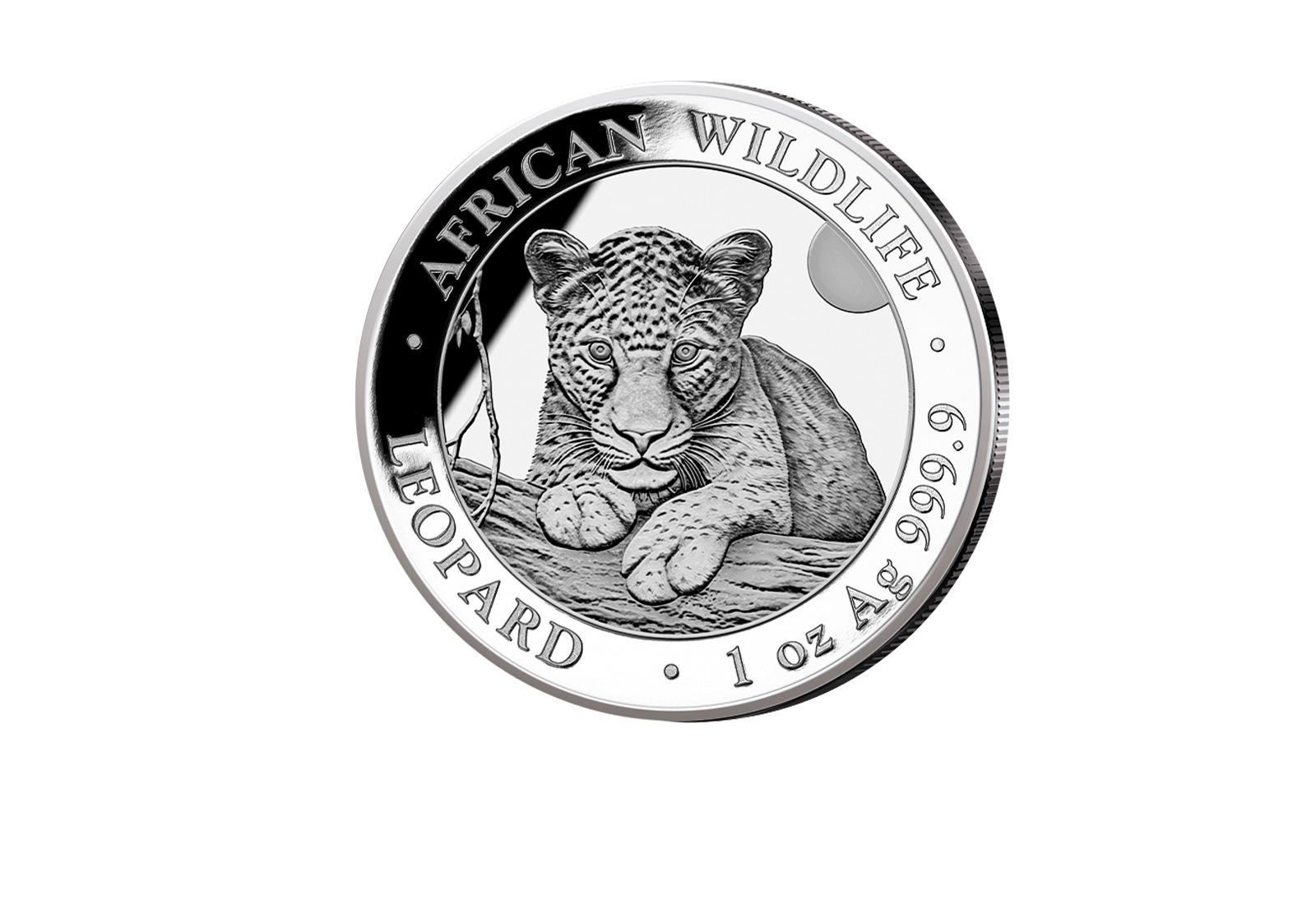 African Wildlife Silbermünze 1 oz 2025 Somalia Leopard