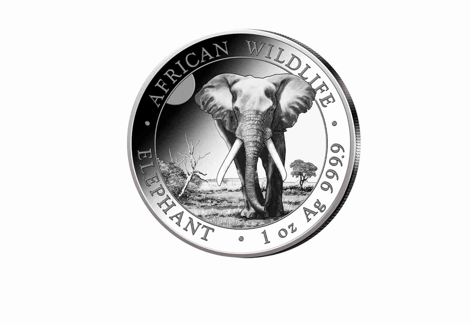 African Wildlife Serie 1 oz Silber 2025 Somalia Elefant