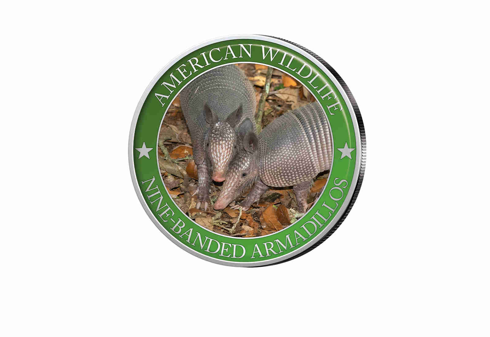 1/2 Dollar USA Nine-Bandet Armadillo Serie American Wildlife mit Farbapplikation