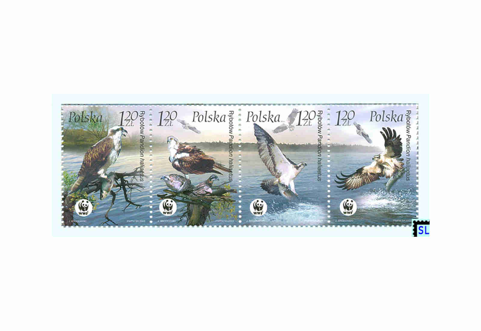 Polen 1000 Marken postfrisch/gestempelt