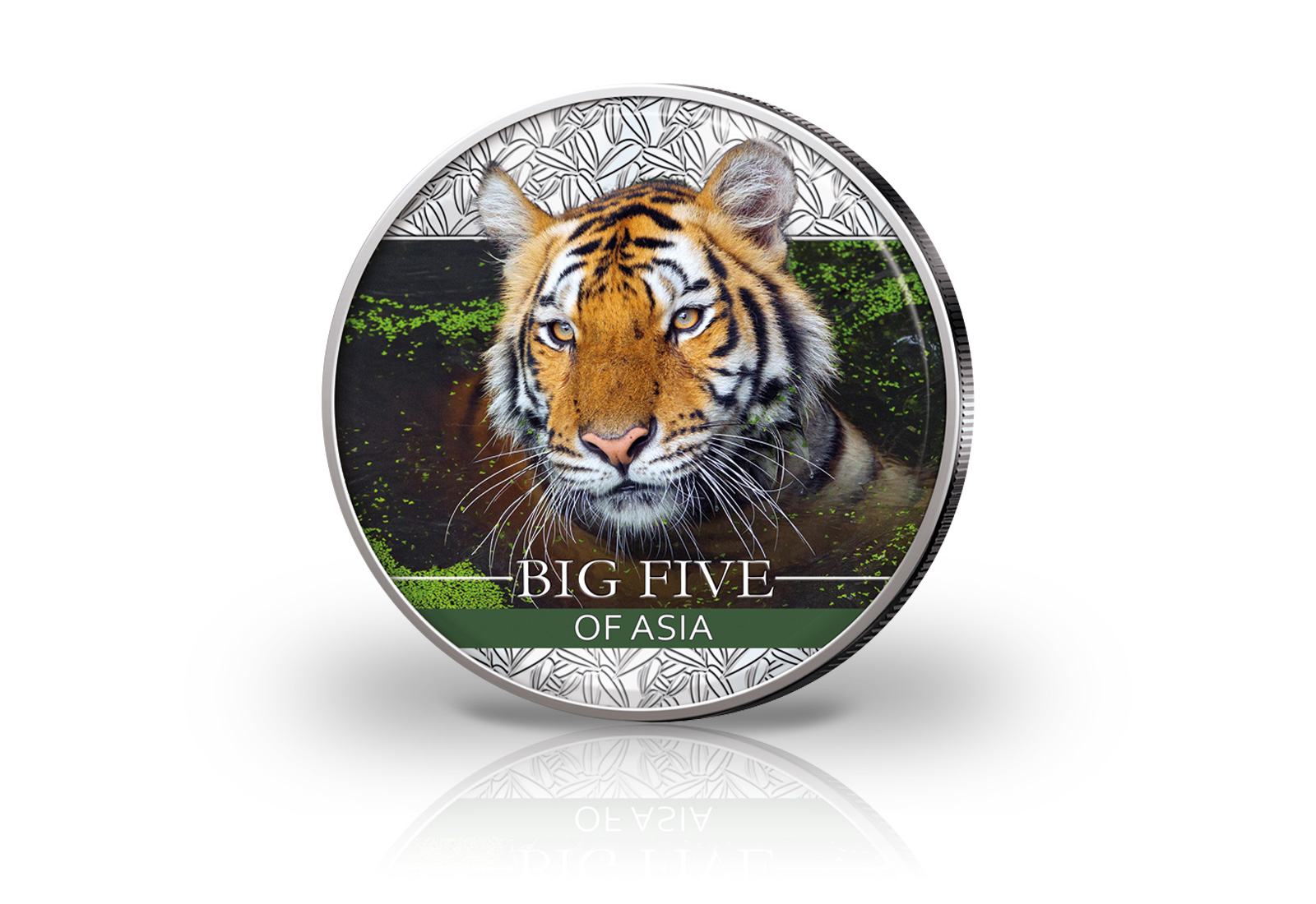 Big Five Asien Panda 30 g Silber Jahrgang u. Wahl mit Farbapplikation Sibirische Tiger