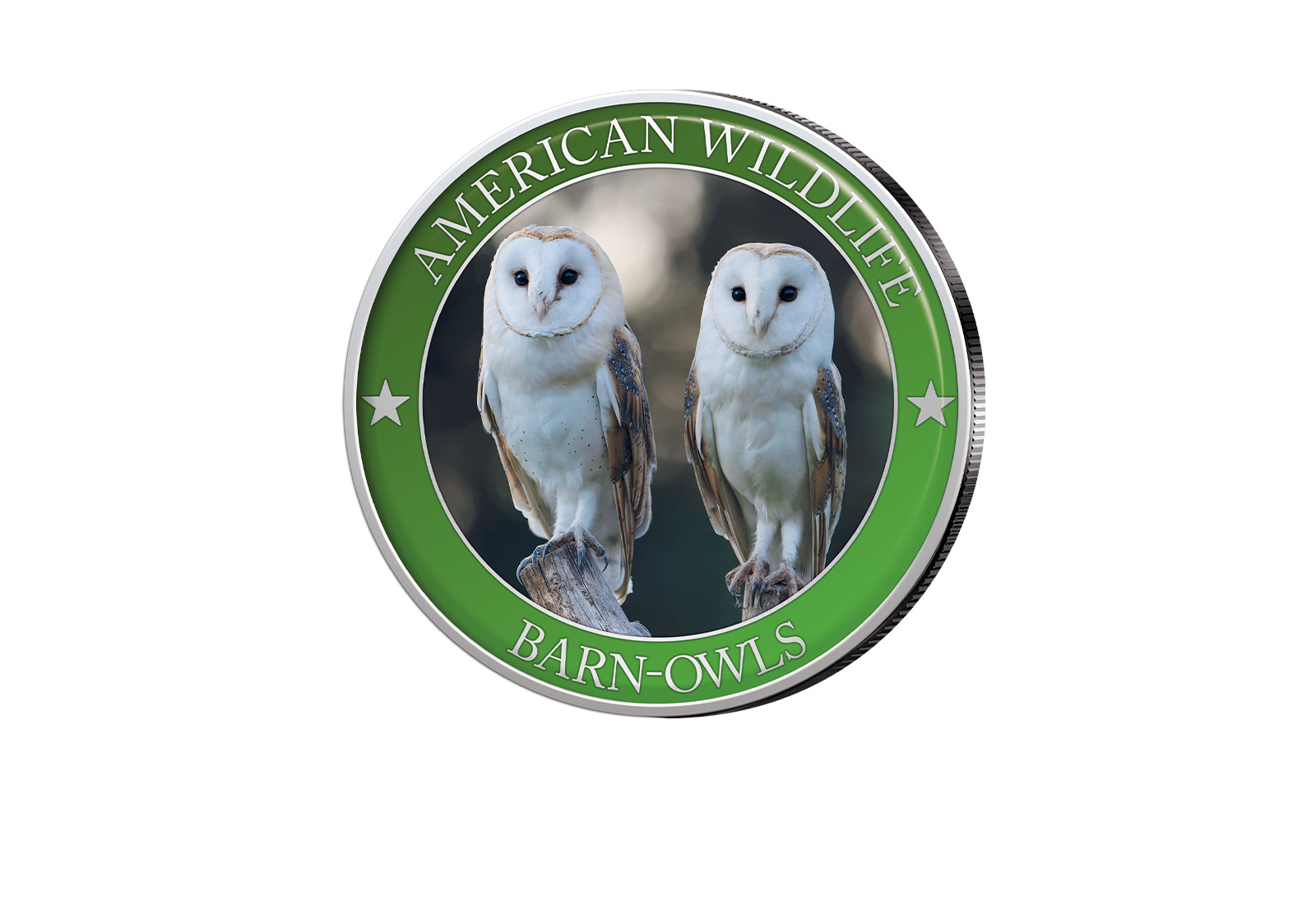 1/2 Dollar USA Barn Owl Serie American Wildlife mit Farbapplikation